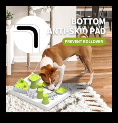 Playful Paws: משחקים אינטראקטיביים לגירוי מנטלי