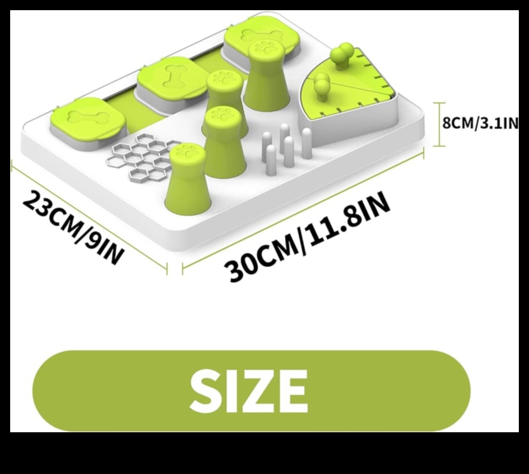 Playful Paws: משחקים אינטראקטיביים לגירוי מנטלי