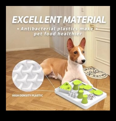 Playful Paws: משחקים אינטראקטיביים לגירוי מנטלי