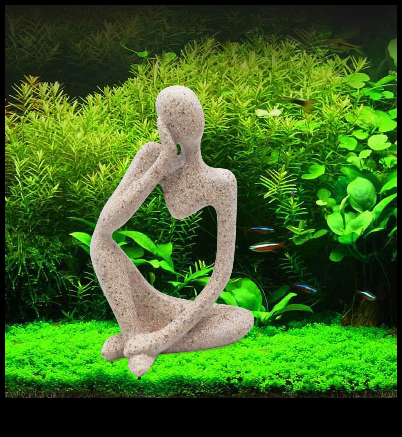 אקווריום Elegance: אביזרים דקורטיביים למיכלי דגים