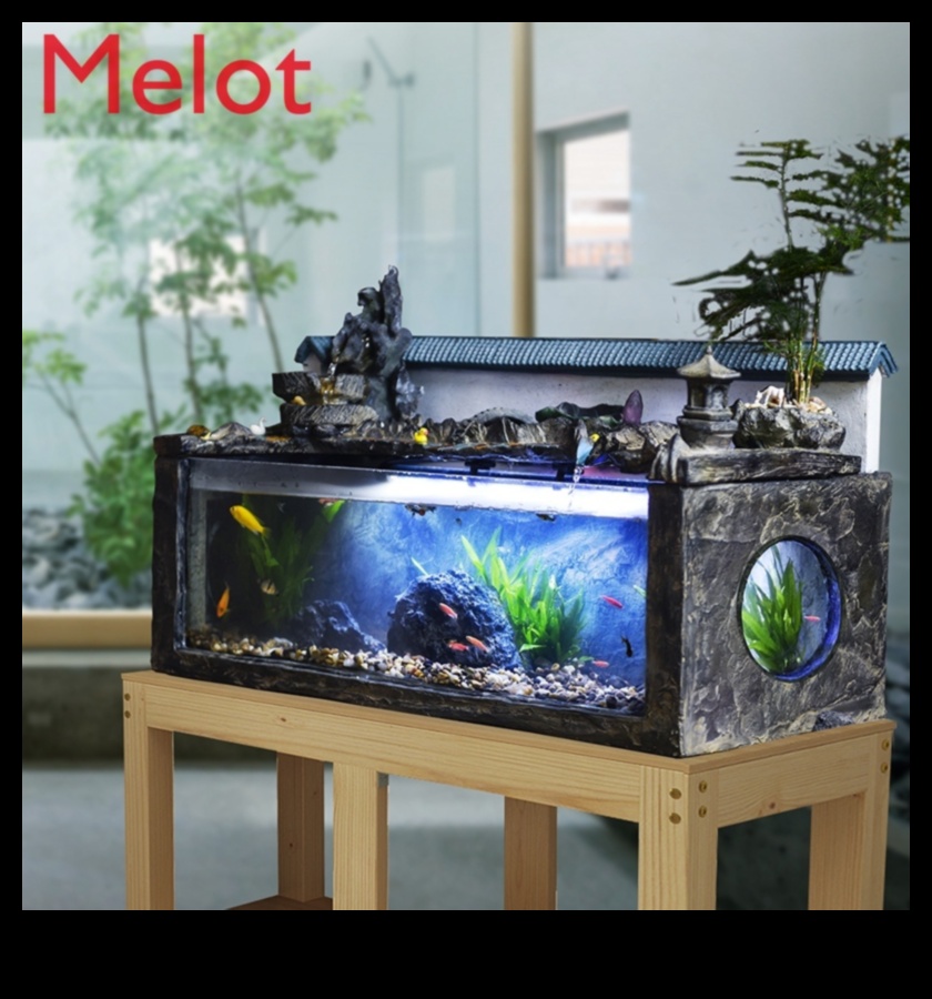 דיגי טנק דיקור עתידות עם דגי טנק דקור 5 מזל דגים: מספר עתידות עם דגי טנק דקור