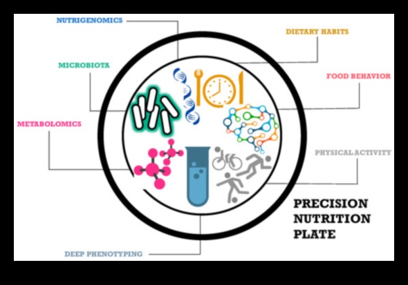 תזונה מדויקת: יצירת דיאטות עם תובנות נוטריגנומיות