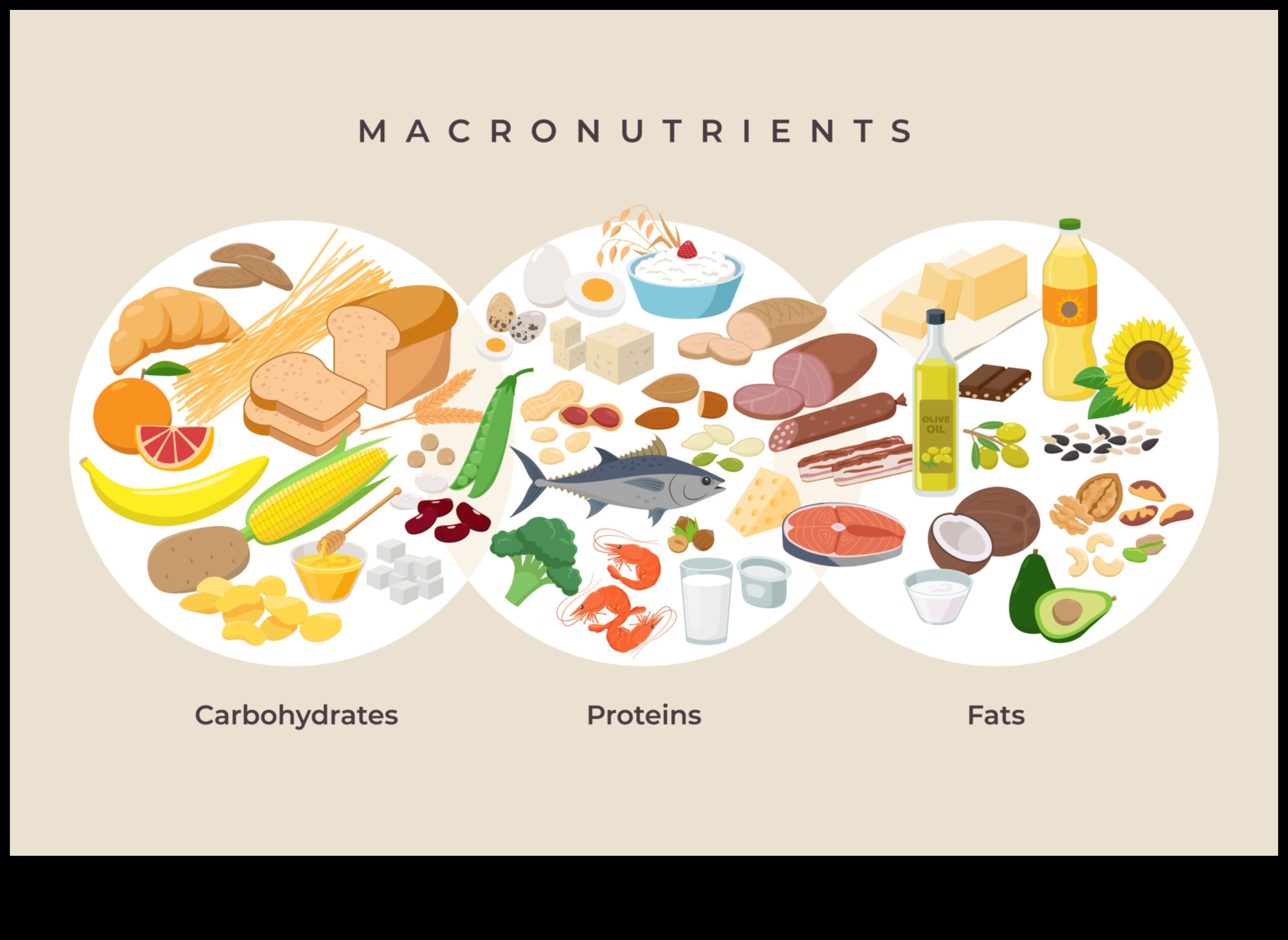 בריאות בכל ביס: הקסם של מקרונוטריינטים חיוניים