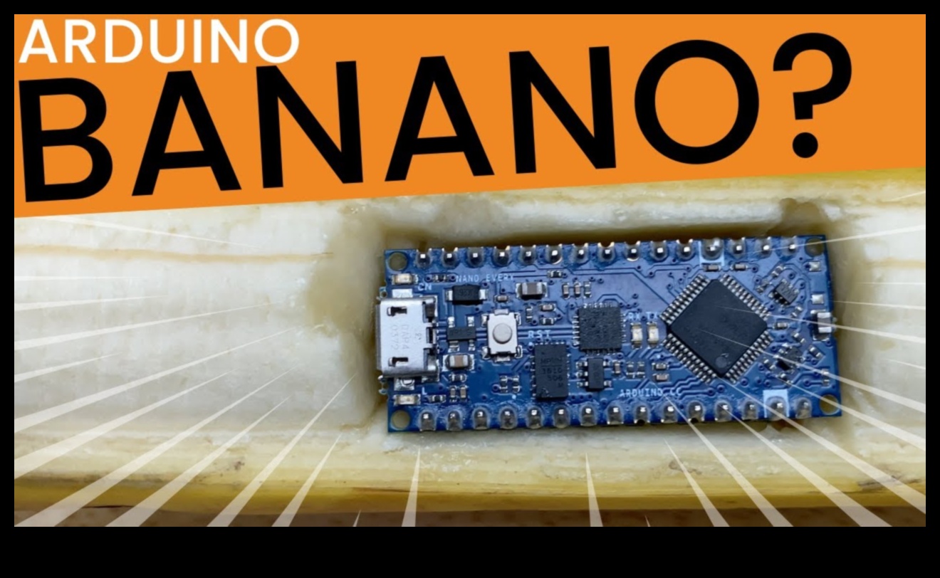 מקונספט לננו קוד: מדריך מקיף לפתרונות ננו מקצועיים