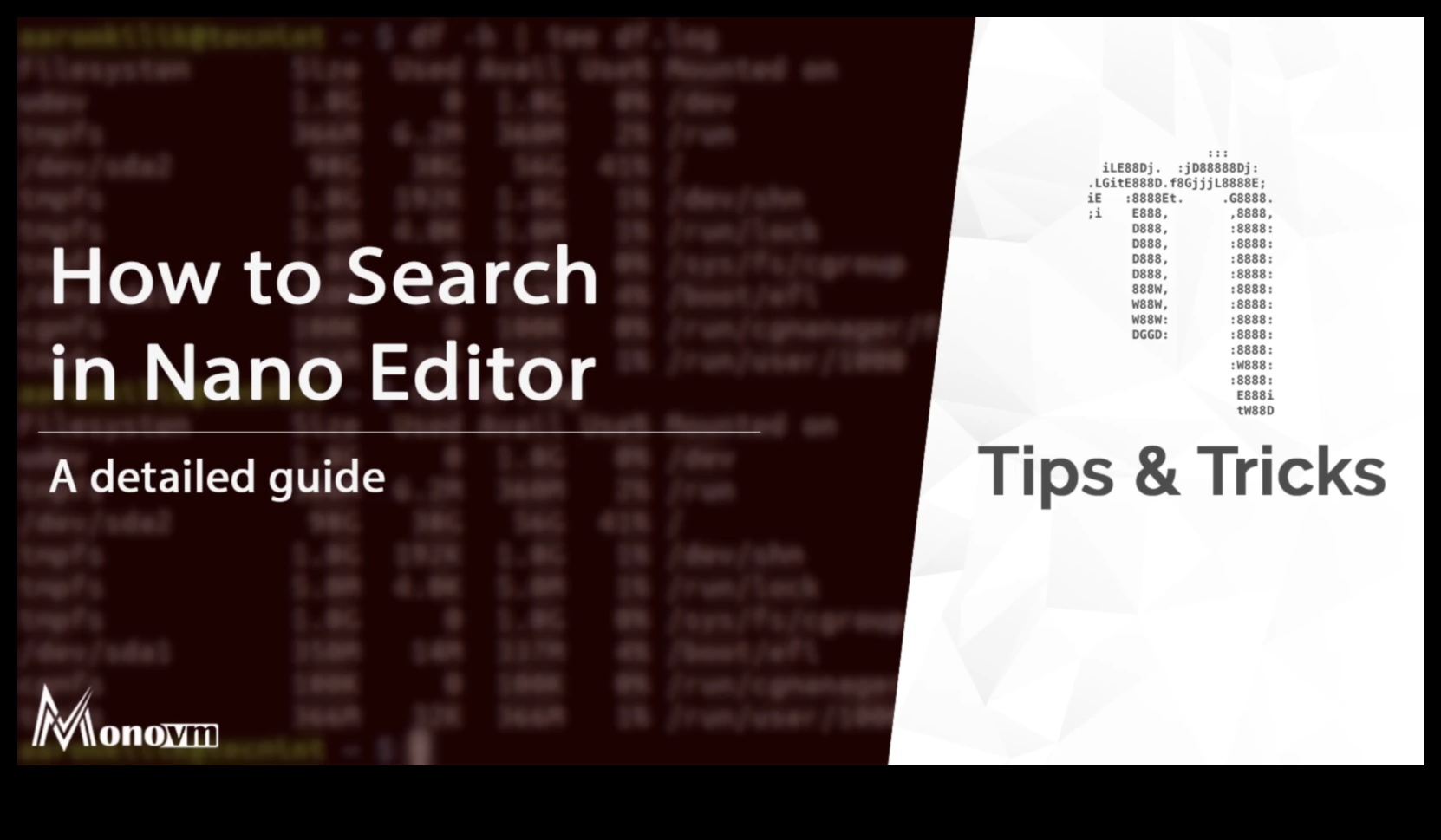 מקונספט לננו קוד: מדריך מקיף לפתרונות ננו מקצועיים