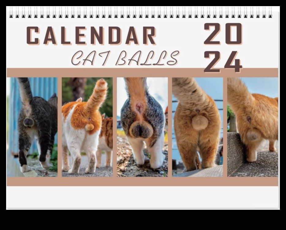 לוח שנה לחתולים: תכנון אירועים וחגים המתמקדים בחתולים