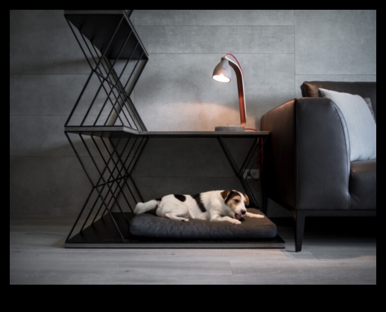 הרפיית זוחלים המשך עיצוב אזורי מנוחה נעימים 4 המשך הרפיה זוחלים: עיצוב אזורי מנוחה נעימים