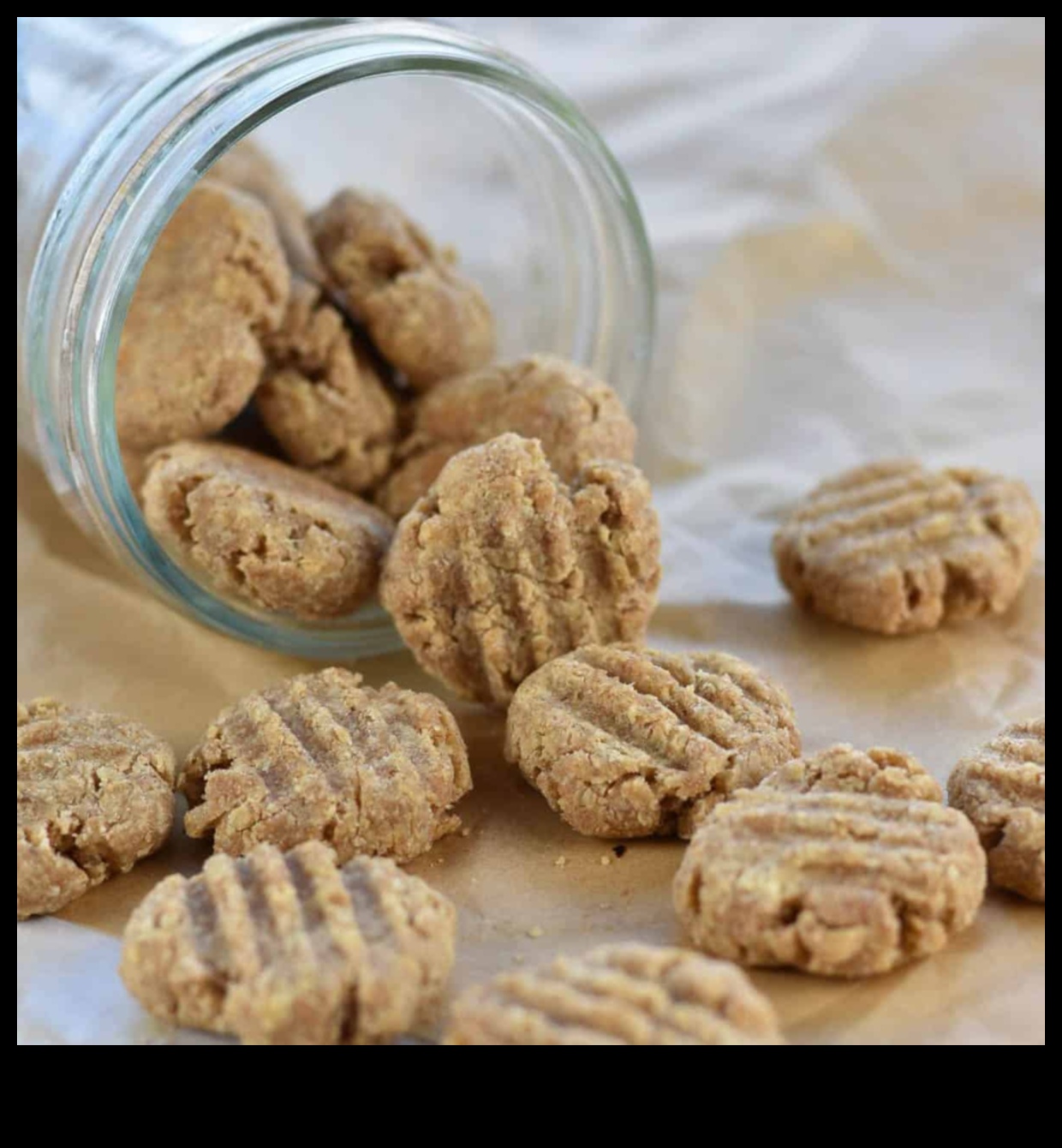 מתכוני פינוק לחתולים תוצרת בית של קיטי מטבח 3 קיטי מטבח: מתכוני פינוק לחתולים תוצרת בית