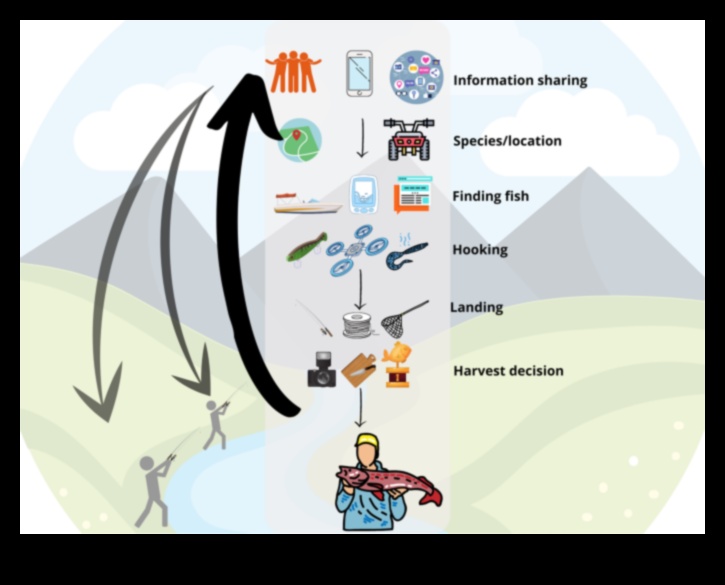 התפתחות טכנולוגית של ציוד דיג עבור דייגים מודרניים 2 אבולוציה של ציוד דיג: התקדמות טכנולוגית עבור דייגים מודרניים