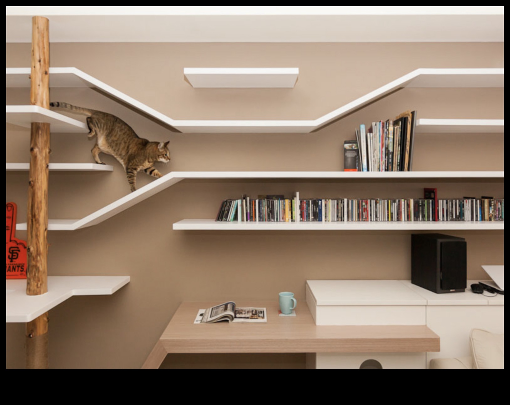 Catwalk Confessions: טיפים לעיצוב פנים מסוגנן לבתים ידידותיים לחתולים