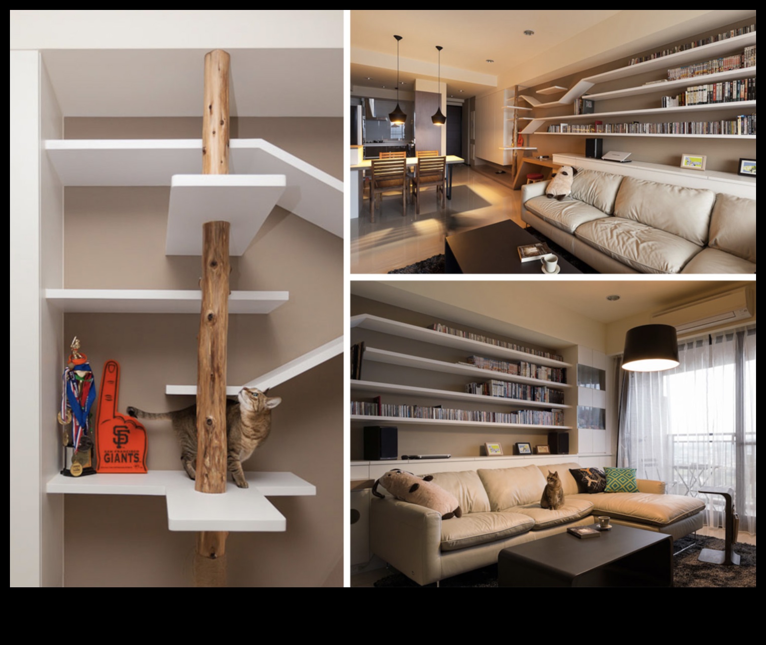 Catwalk Confessions: טיפים לעיצוב פנים מסוגנן לבתים ידידותיים לחתולים