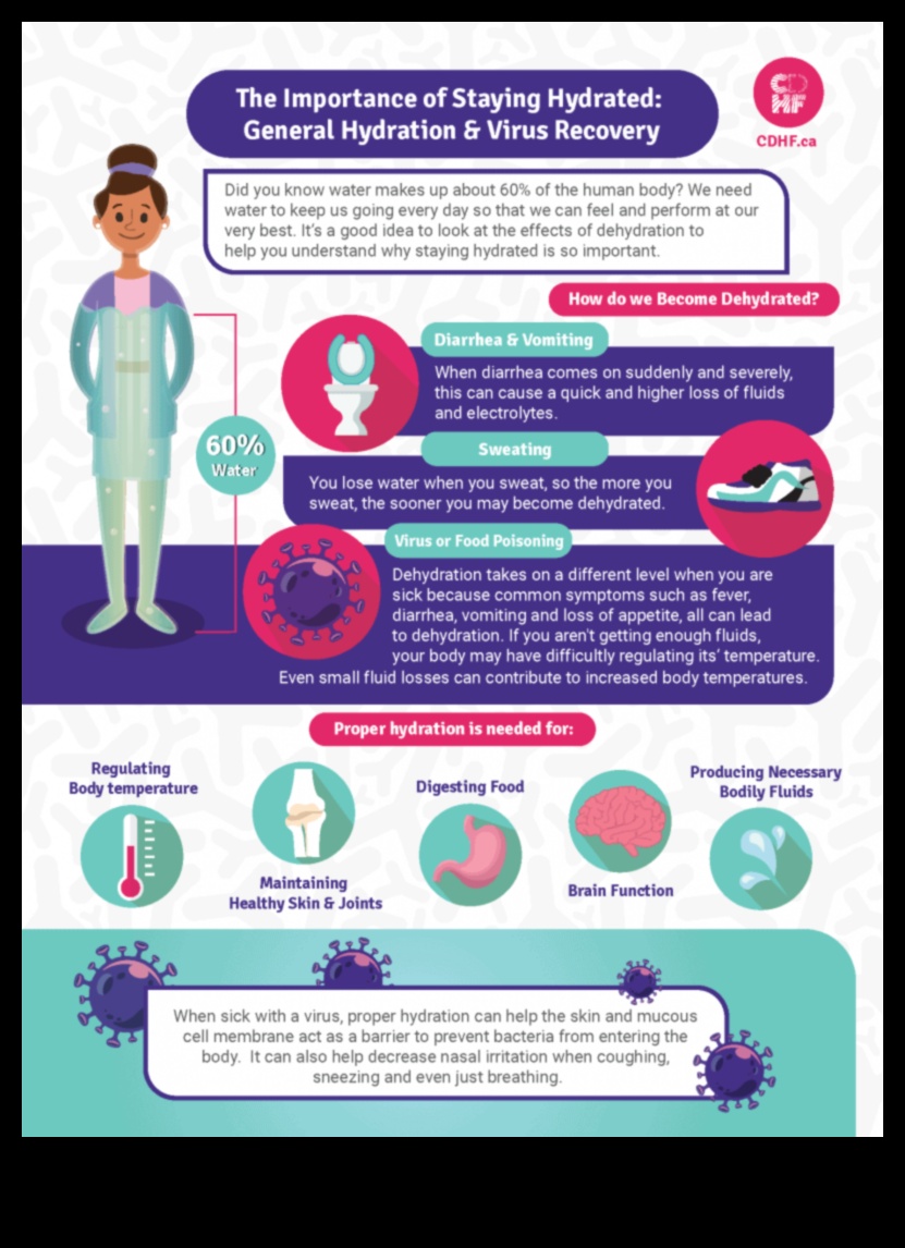 הזנה מעבר לטעם: החשיבות של הידרציה מספקת