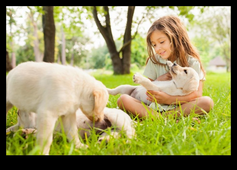 יסודות קבוצת המשחקים לגורים: יצירת קשרים חברתיים עם כלבים אחרים