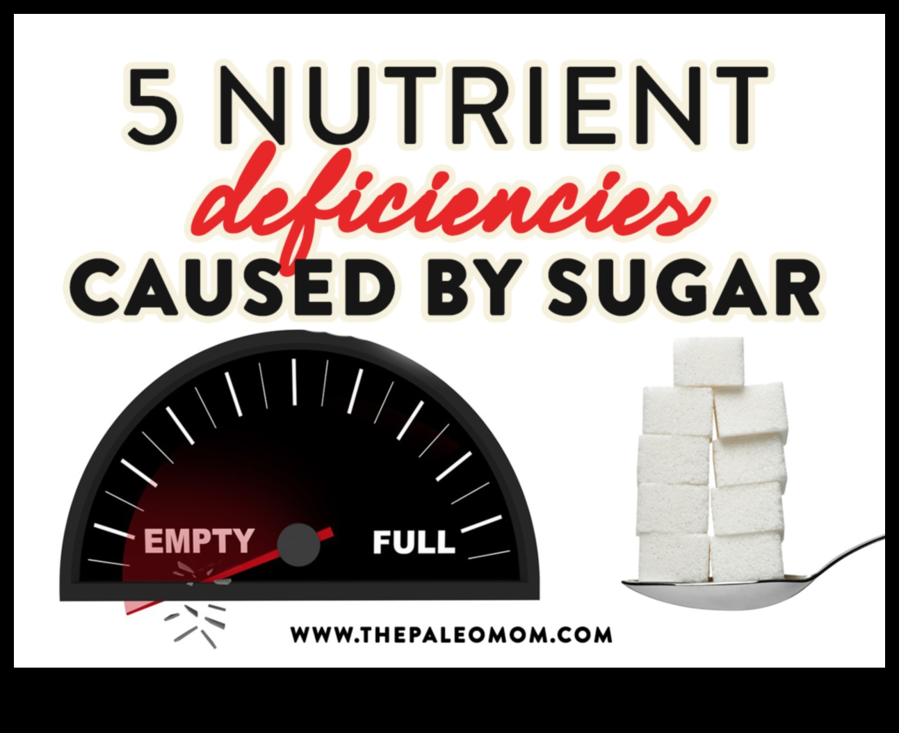 ניווט בריק תזונתי מדריך למניעת מחסור 3 ניווט בריק תזונתי: מדריך למניעת מחסור