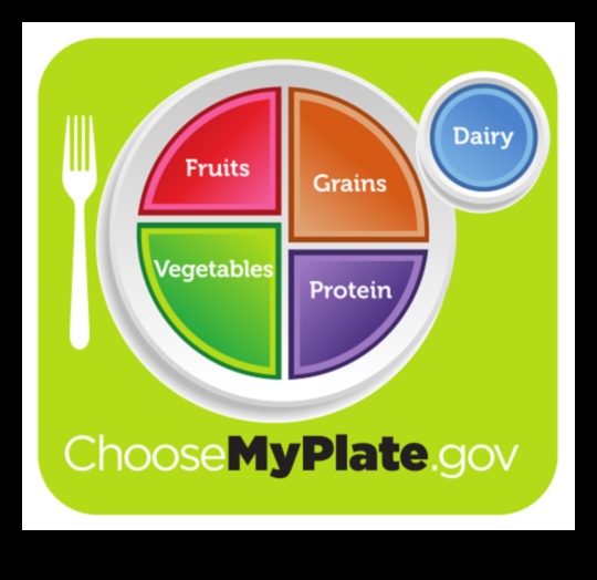 ניווט בריק תזונתי מדריך למניעת מחסור 4 ניווט בריק תזונתי: מדריך למניעת מחסור