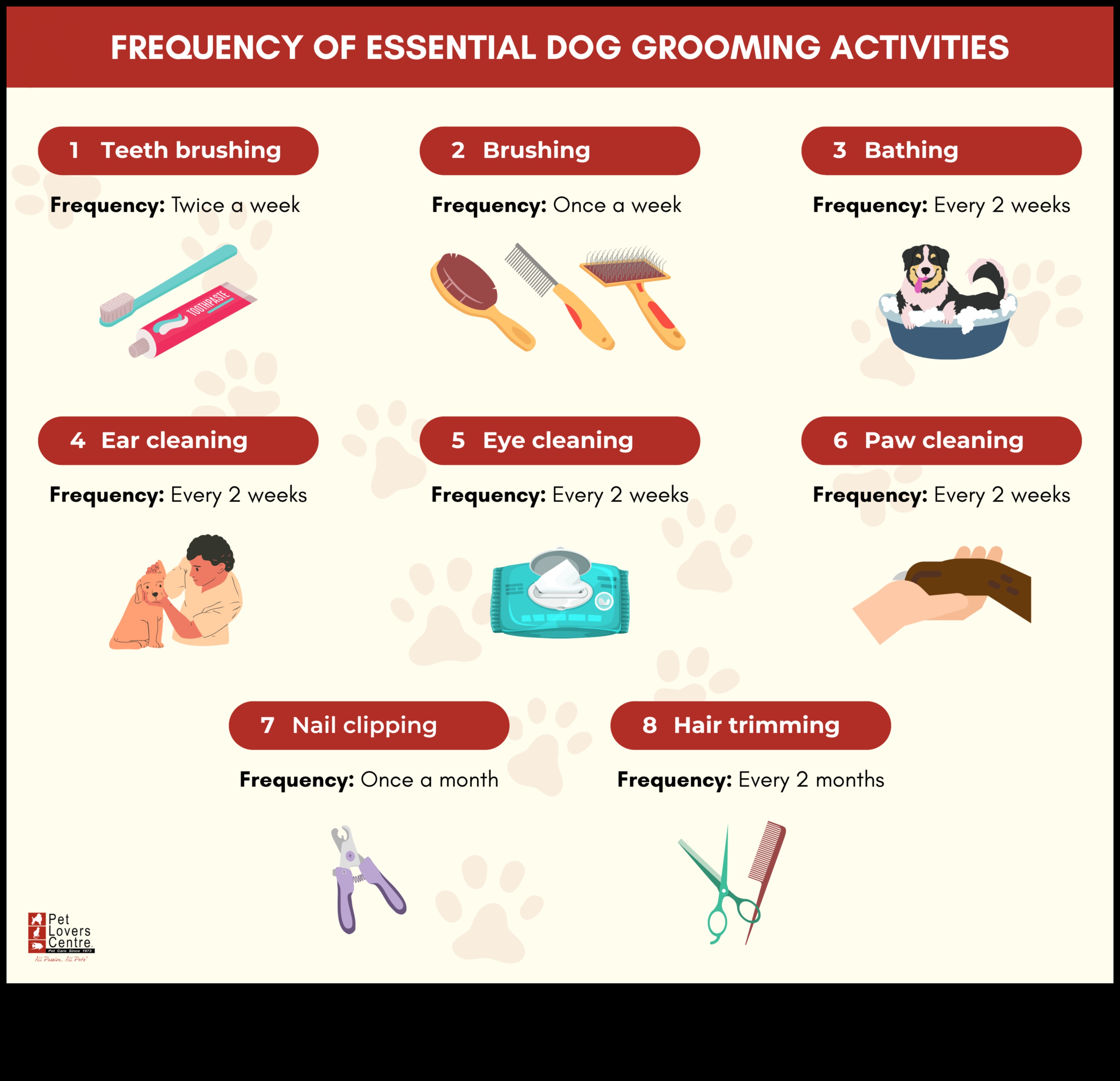יסודות טיפוח הפרווה: עצות טיפוח לכלבים וחתולים