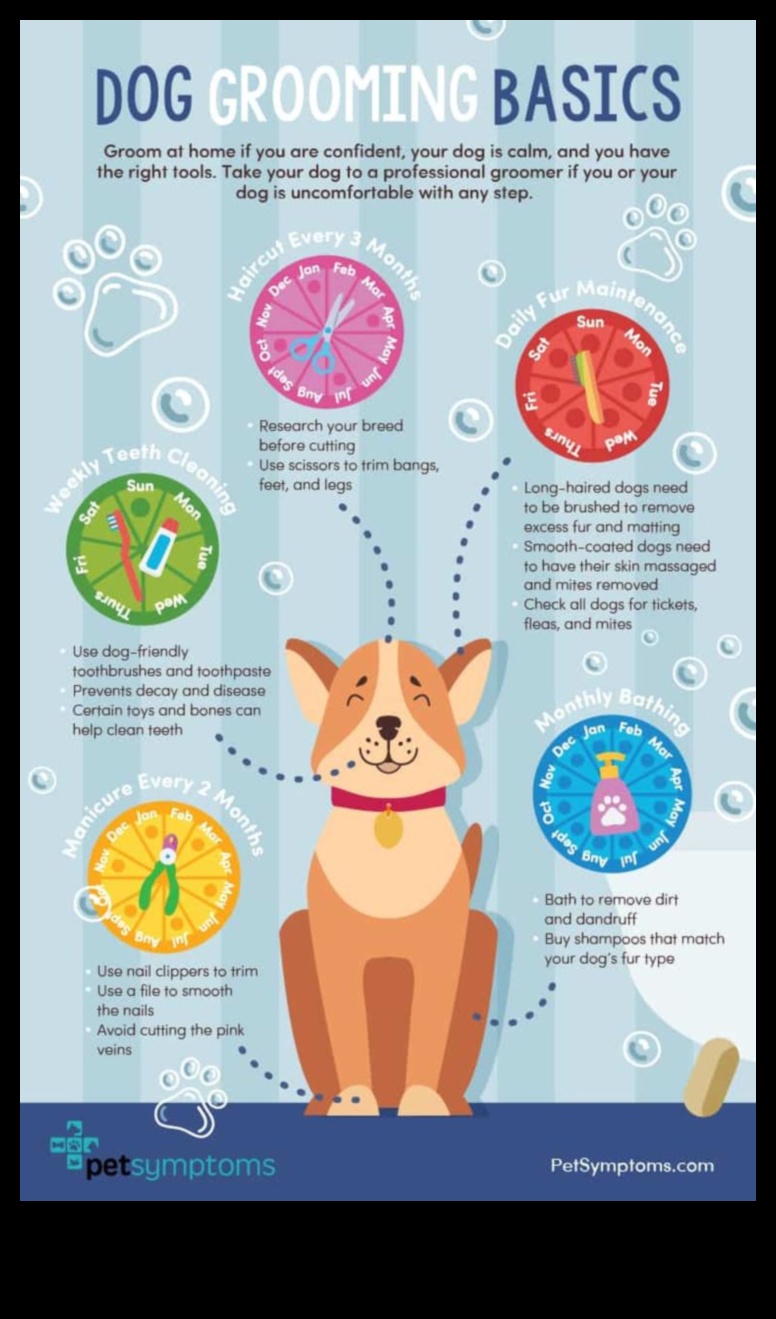 יסודות טיפוח הפרווה: עצות טיפוח לכלבים וחתולים