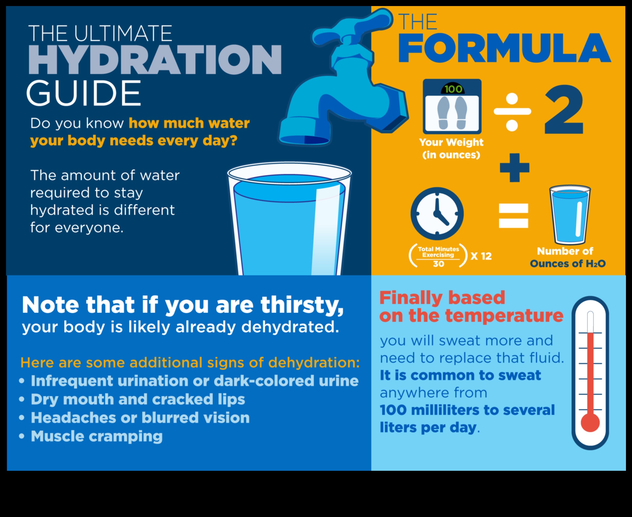 שרטוט המים: עיצוב הדרך שלך לחיים עם לחות