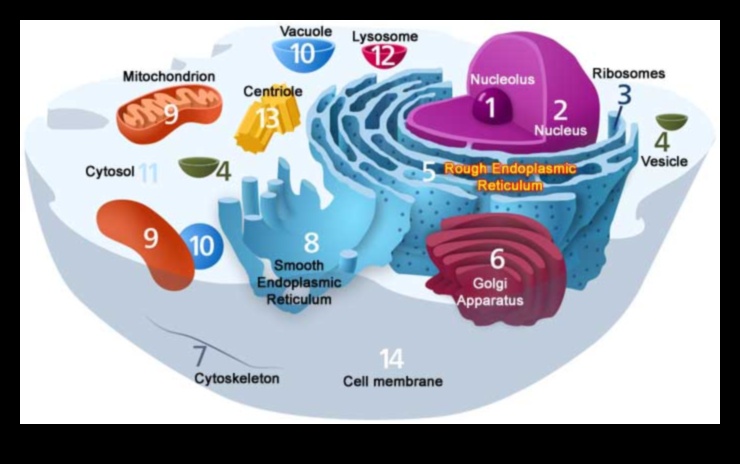 בתוך התא סיור בעולם הביוכימיה התזונתית 5 בתוך התא: ניווט בעולם הביוכימיה התזונתית