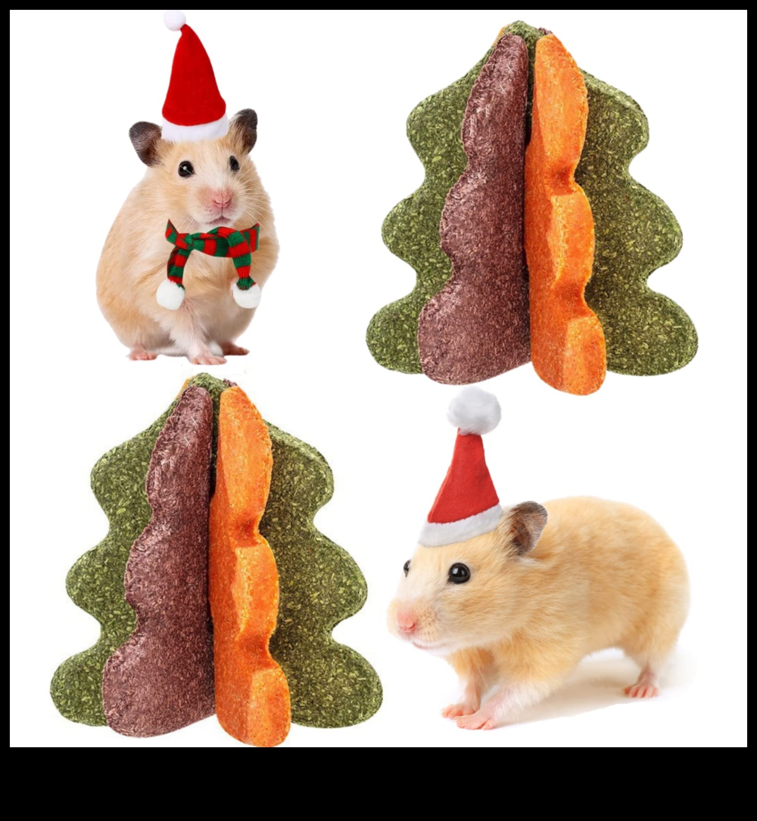 בריאות השיניים של אוגר המשך: אפשרויות לעיסה בטוחות וצעצועים