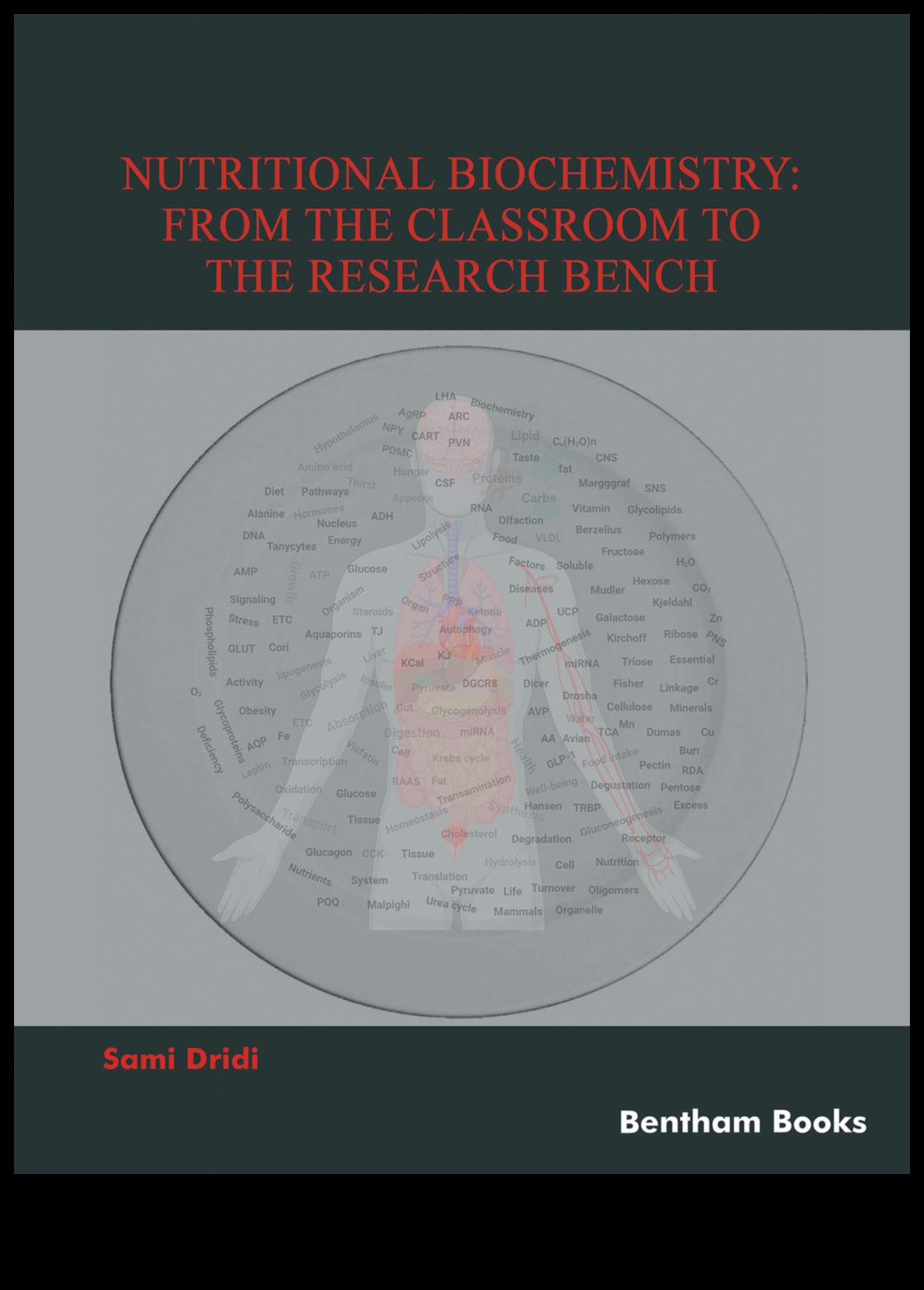 אטומים לתיאבון: המסע הכימי של ביוכימיה תזונתית