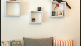 Catwalk Confessions: טיפים לעיצוב פנים מסוגנן לבתים ידידותיים לחתולים