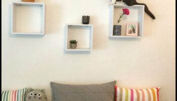 Catwalk Confessions: טיפים לעיצוב פנים מסוגנן לבתים ידידותיים לחתולים