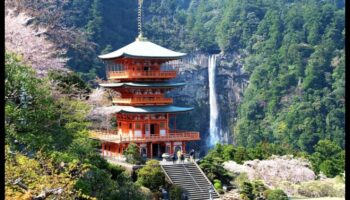 הרמוניה של הייאן: אמנות ותרבות ביפן העתיקה