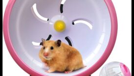 אפשרויות גלגל אוגר המשך: בחירות שקטות ונוחות