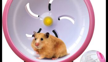 אפשרויות גלגל אוגר המשך: בחירות שקטות ונוחות