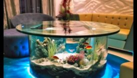 אקווריום Elegance: אביזרים דקורטיביים למיכלי דגים