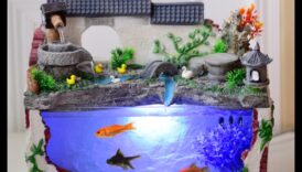 מזל דגים: מספר עתידות עם דגי טנק דקור