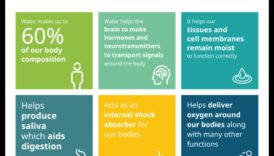הזנה מעבר לטעם: החשיבות של הידרציה מספקת