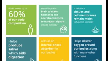 הזנה מעבר לטעם: החשיבות של הידרציה מספקת