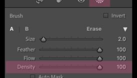 השפעת צפיפות המסרק כיצד צפיפות הכלים משפיעה על המכשיר האינדיבידואלי שלך 5 השפעת צפיפות המברשת: הבנת התפקיד של צפיפות הכלים ביישום