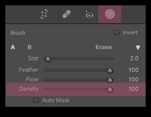 השפעת צפיפות המברשת: הבנת התפקיד של צפיפות הכלים ביישום
