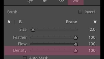 השפעת צפיפות המברשת: הבנת התפקיד של צפיפות הכלים ביישום