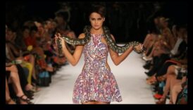 זוחלים על המסלול כיצד להוסיף נוצץ למראה של חבר סקילי האישי שלך 4 מפגש מסלול זוחלים: הוספת זוהר למראה של חבר סקילי שלך