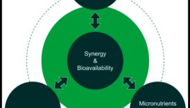 חיוניות מזינה: גישה מקיפה למחסור בחומרי תזונה