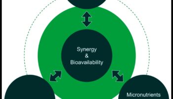 חיוניות מזינה: גישה מקיפה למחסור בחומרי תזונה