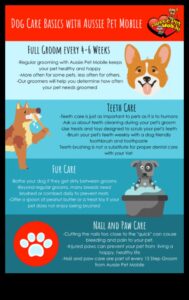 יסודות טיפוח הפרווה: עצות טיפוח לכלבים וחתולים