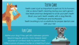 יסודות טיפוח הפרווה: עצות טיפוח לכלבים וחתולים