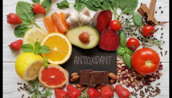 מגיני הבריאות: תפקידם של נוגדי חמצון בבריאות