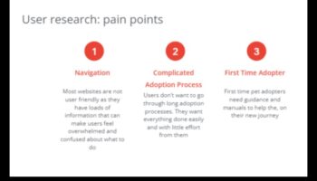 מציאות הצלה: ניווט בתהליך האימוץ
