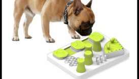 Playful Paws: משחקים אינטראקטיביים לגירוי מנטלי