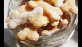 קיטי מטבח: מתכוני פינוק לחתולים תוצרת בית