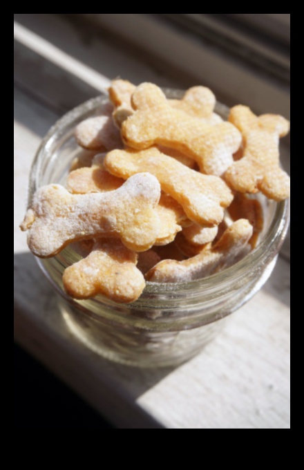 מתכוני פינוק לחתולים תוצרת בית של קיטי מטבח 1 קיטי מטבח: מתכוני פינוק לחתולים תוצרת בית