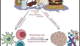 ניווט בריק תזונתי: מדריך למניעת מחסור